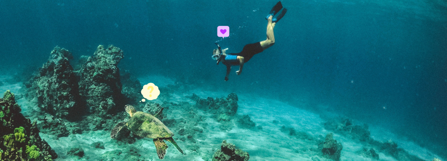 plongeuse sous-marine avec une tortue de mer